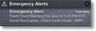 emergency alert as described in text