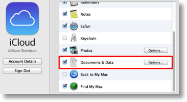 turning on documents and data in iCloud in System Preferences