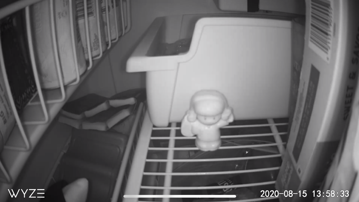 Wyze Cam Outdoor Infrared View
