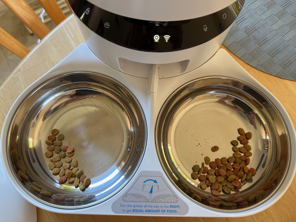 Automatic Cat Feeder Stainless Steel Two-Way Splitter and Double Bowls Pet Feeders Food Dispenser Voice Recorder, Battery and Plug-In Power by U.S.