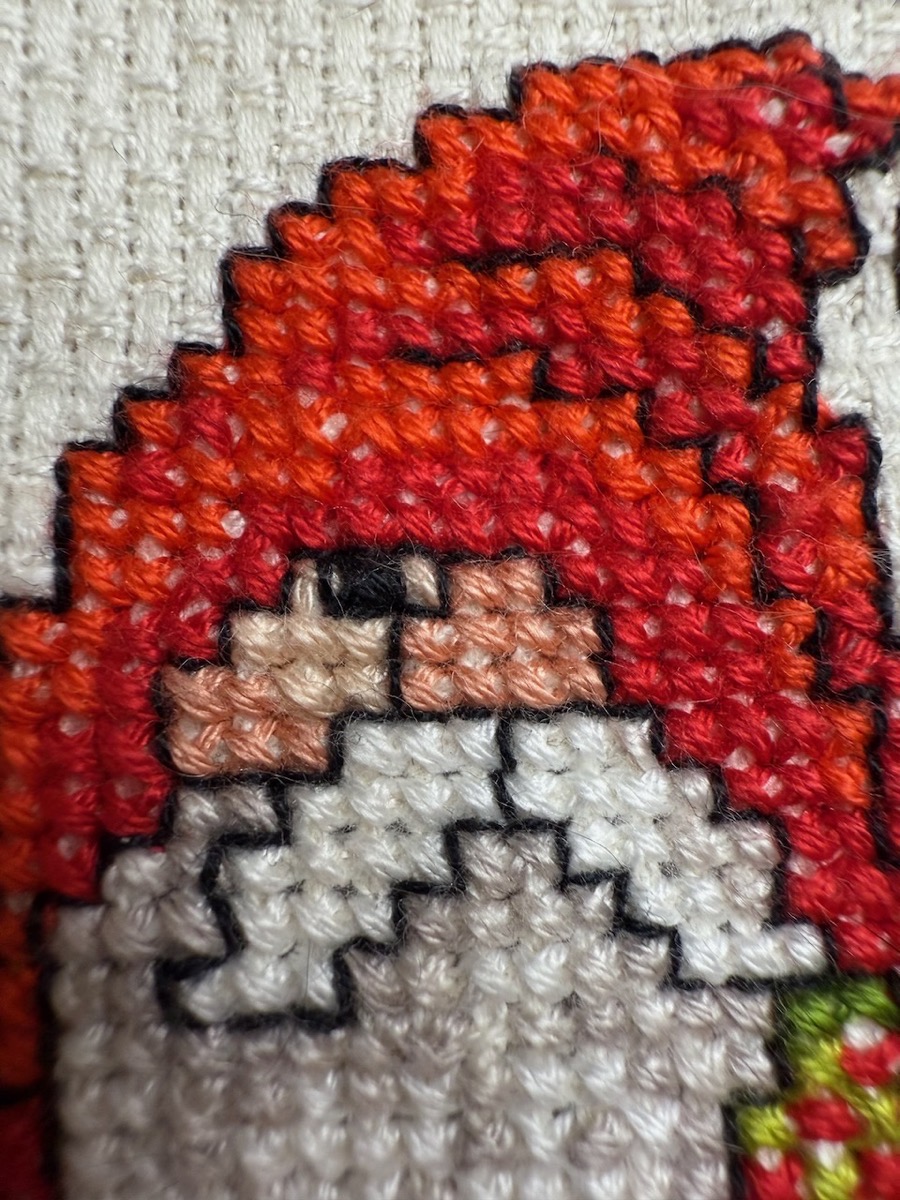 Closeup of cross stitch showing xs and outlining.