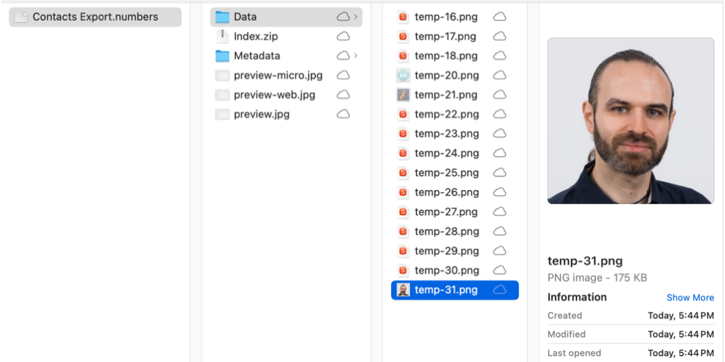 screenshot of the Data folder for a Package file from Numbers showing a list of images. the selected file is Bart's image