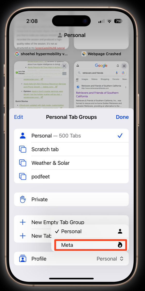Swapping Profiles in Safari on iPhone choosing Meta Profile.